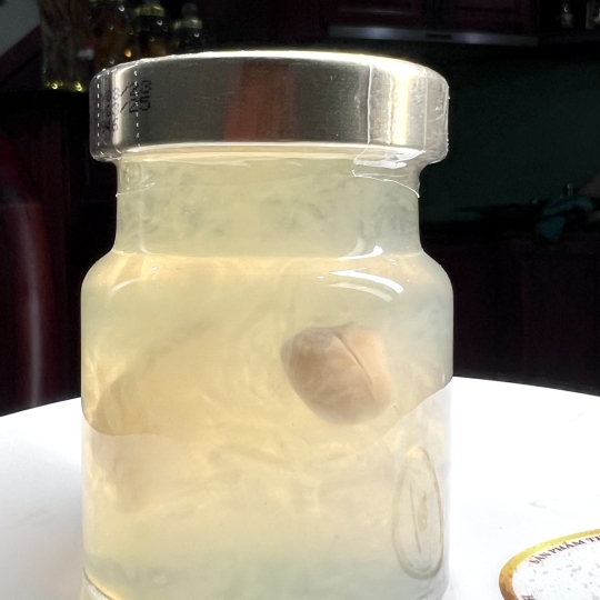 Yến tươi chưng đường phèn - Chai 75ml