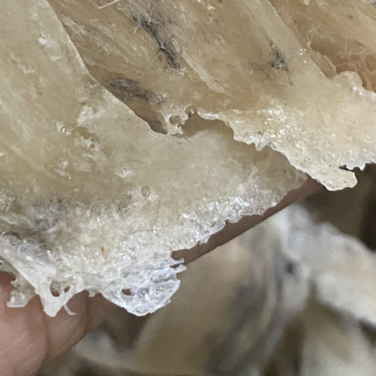 Chân yến thô loại 1- 100g 