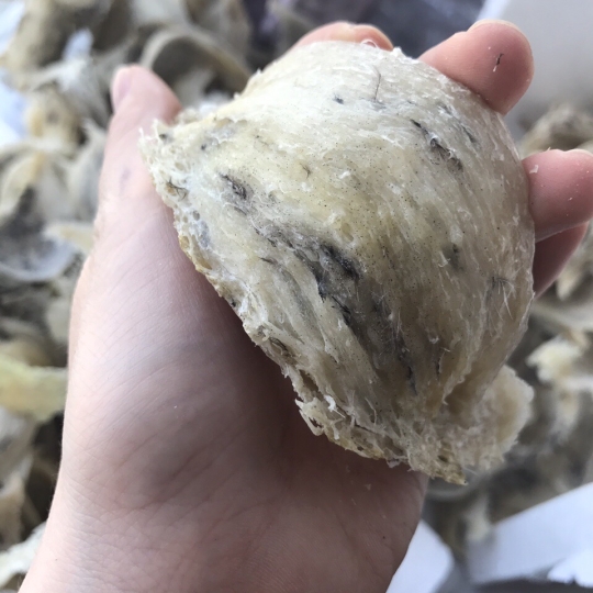 Yến sào nguyên lông - loại 2 - 100gr