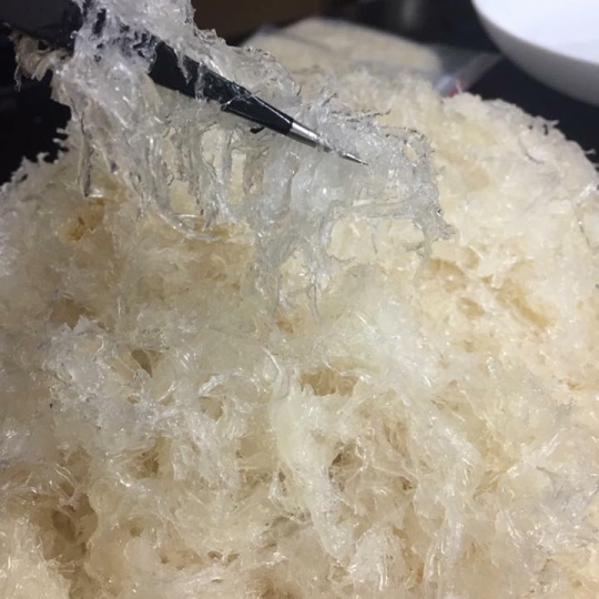 Yến tươi 100gr